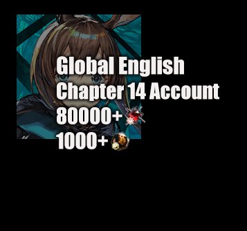 80000+1000 Chapter 14 Account